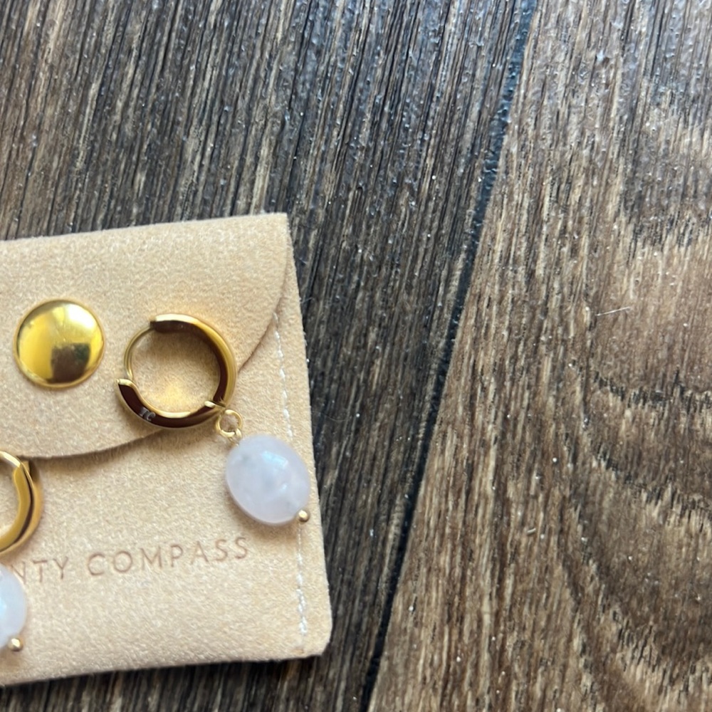 Twenty Compass Earrings - Picture 3 of 3